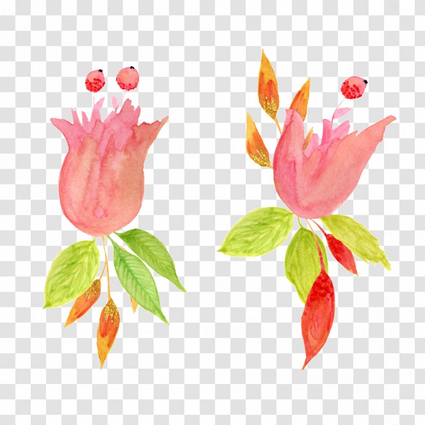Watercolor Painting - Ornament - Hand Painted Pink Floral Decoration Pattern Transparent PNG