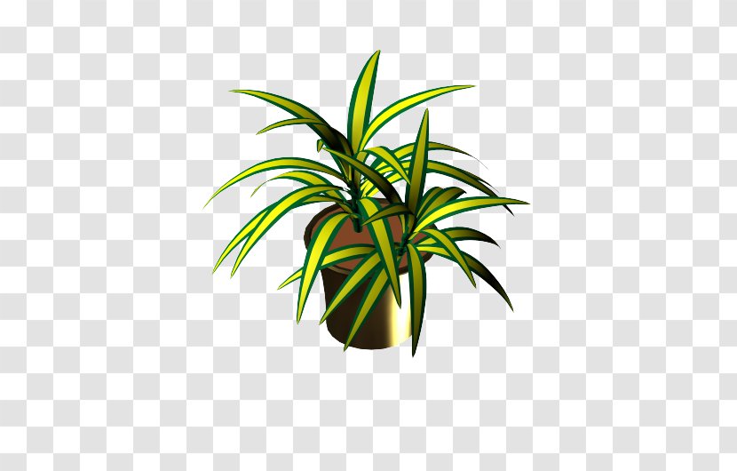 Chlorophytum Comosum Embryophyta Flowerpot Houseplant Variegation - Potted Plant Transparent PNG