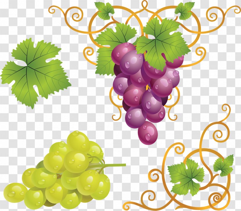 Red Wine Grape Clip Art - Flowering Plant - Grapes Transparent PNG