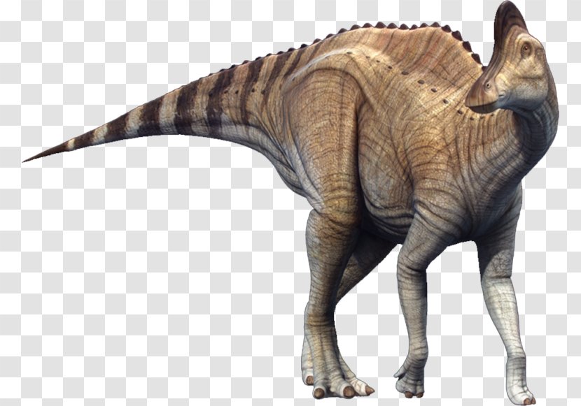 Dinosaur - Extinction - Tyrannosaurus Wildlife Transparent PNG