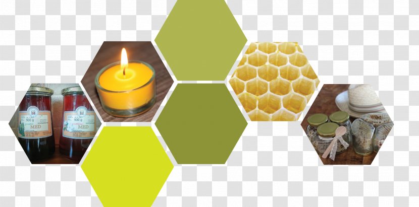 Beekeeping Computer Security Nectar Worker Bee - Honey Pot Transparent PNG