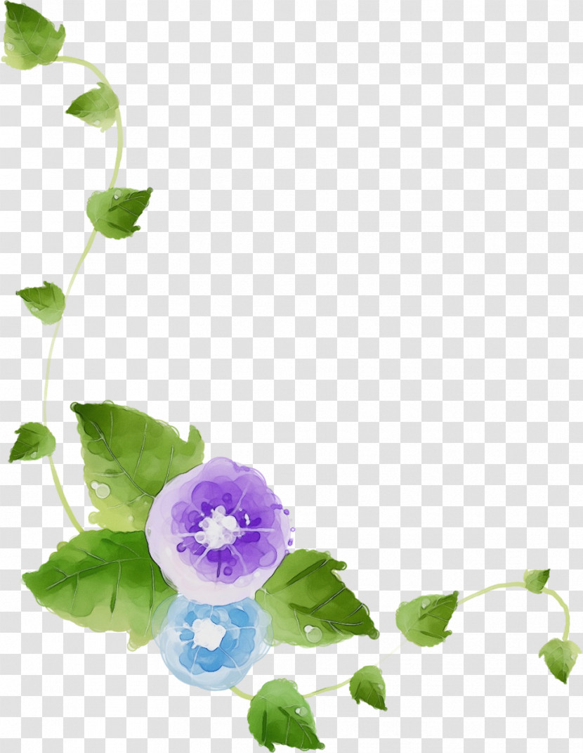 Violet Flower Purple Plant Petal Transparent PNG
