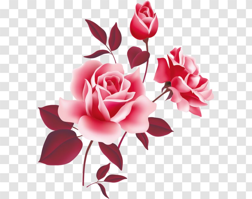 Rose Pink Free Clip Art - Flower - Vector Floral Flowers Transparent PNG
