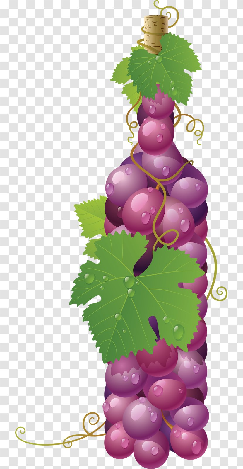 Common Grape Vine Wine Leaves - Vitis Transparent PNG