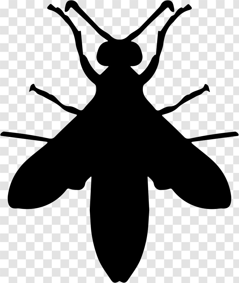 Hornet Insect Wasp Bee - Black And White Transparent PNG