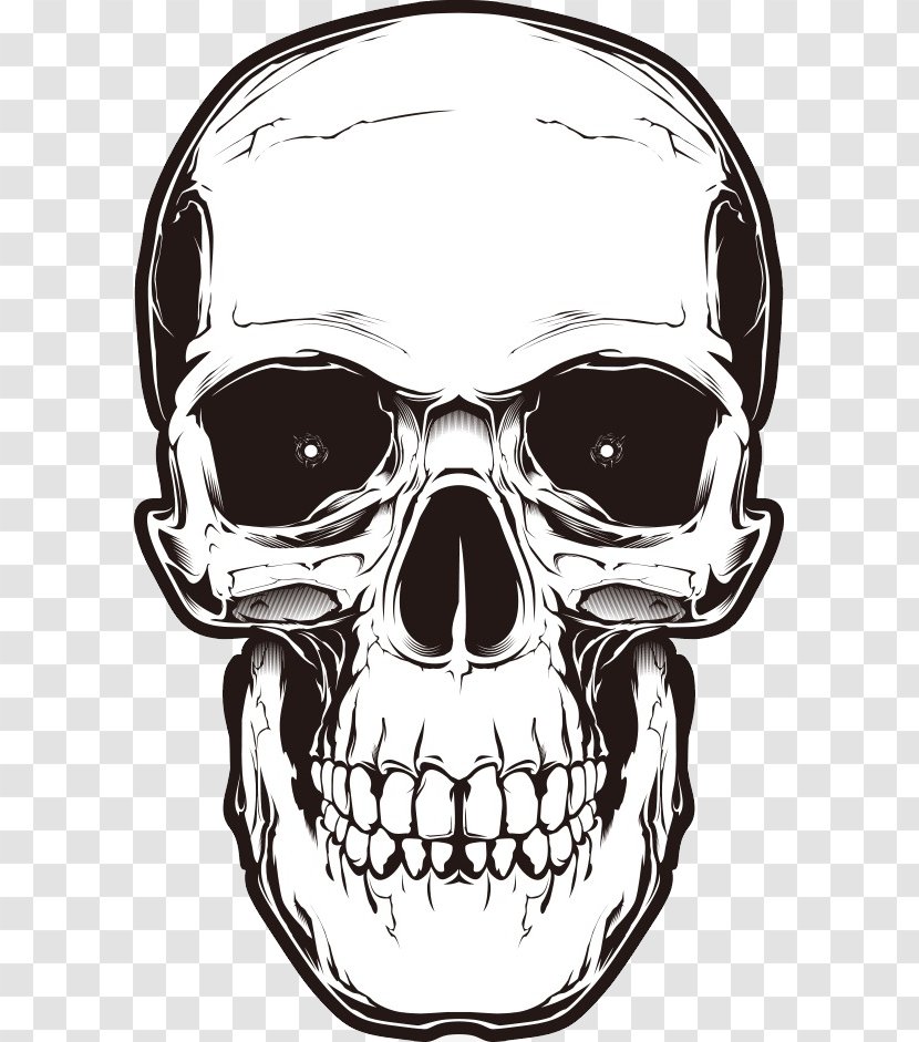 Human Skull Symbolism - 3d Computer Graphics - Tattoo Transparent PNG