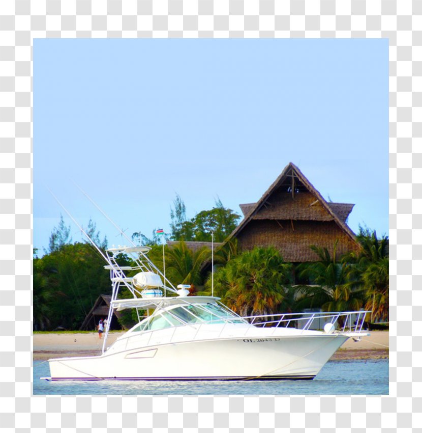 Plant Community Boat Property Vacation Resort Transparent PNG