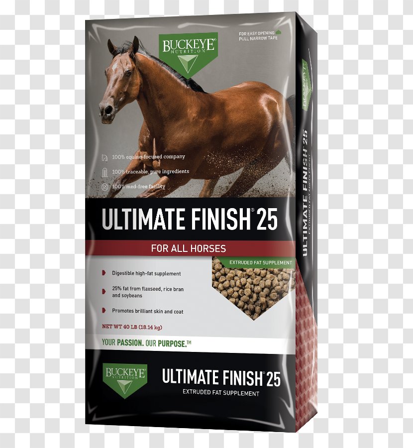 Horse Dietary Supplement Equine Nutrition Nutrient - Diet - Rice Bran Oil Transparent PNG