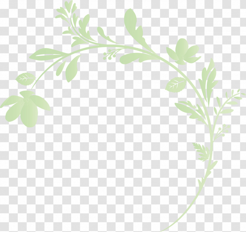 Parsley Transparent PNG