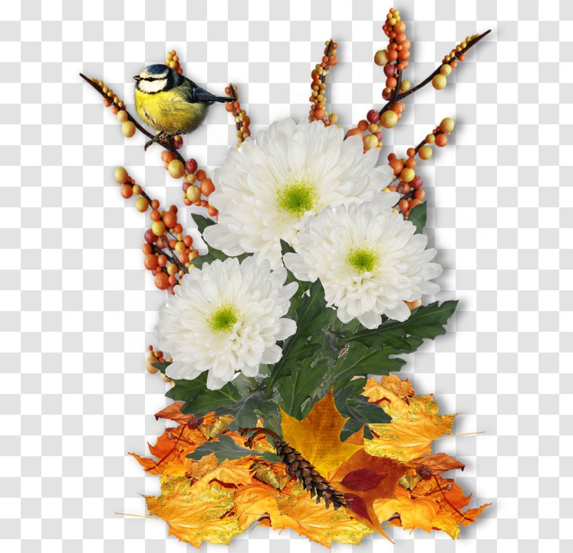 Floral Design Flower Image Clip Art - Flora Transparent PNG