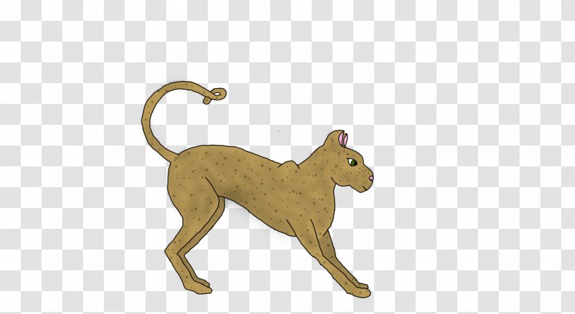 Lion Dog Big Cat Terrestrial Animal - Carnivoran Transparent PNG
