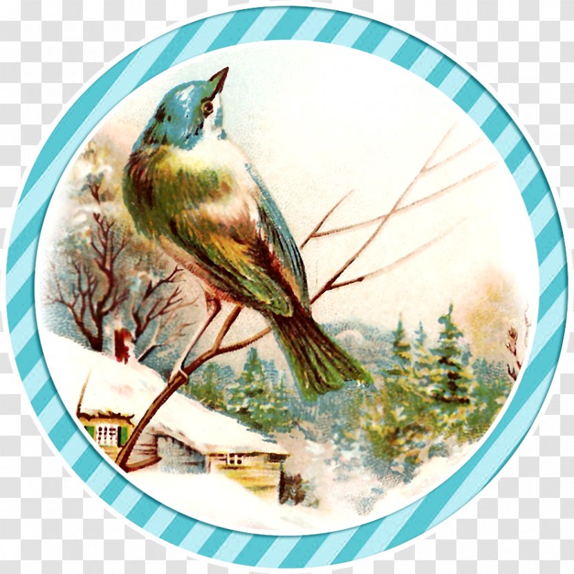 Bird Royalty-free Winter Clip Art Transparent PNG
