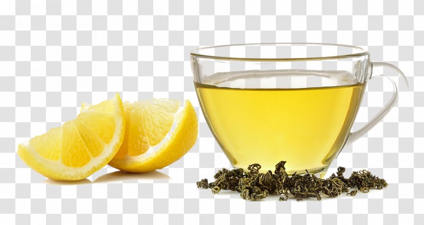 Tea Cannabidiol Cannabis Drink Hemp Oil - Lemon - In Lemonade Slices And Dried Leaves Next Transparent PNG