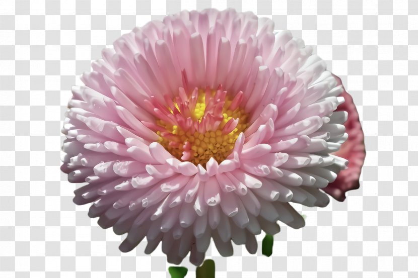 Artificial Flower - Pink - Cut Flowers Transparent PNG