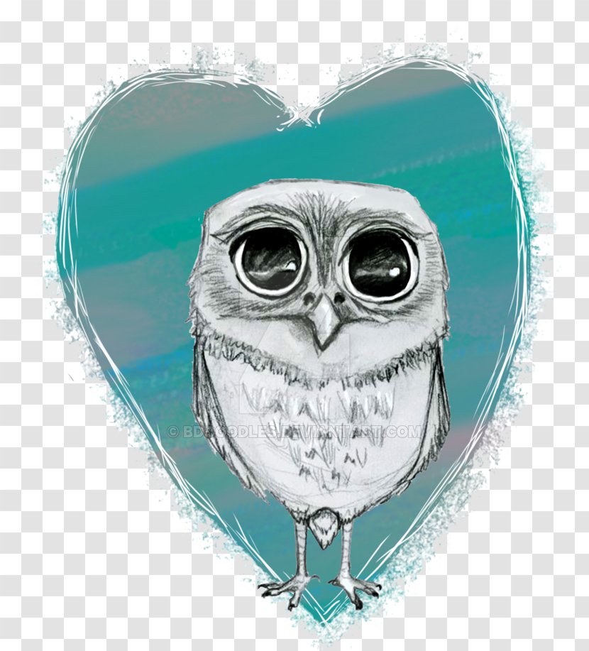 Owl Turquoise Beak Transparent PNG