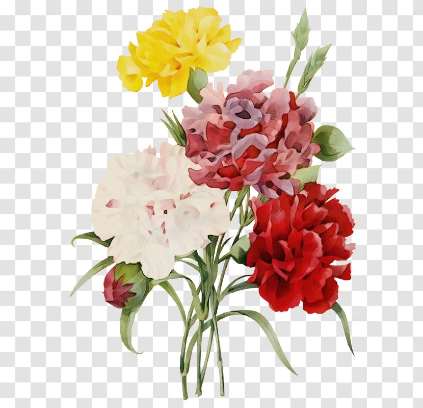 Artificial Flower - Pink Family Carnation Transparent PNG