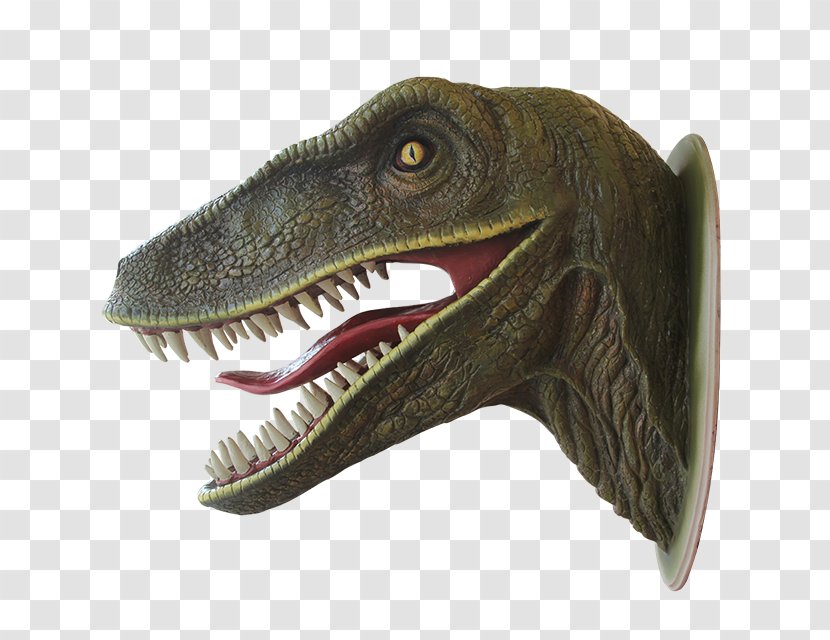 Tyrannosaurus Dinosaur World Velociraptor Bistahieversor Transparent PNG