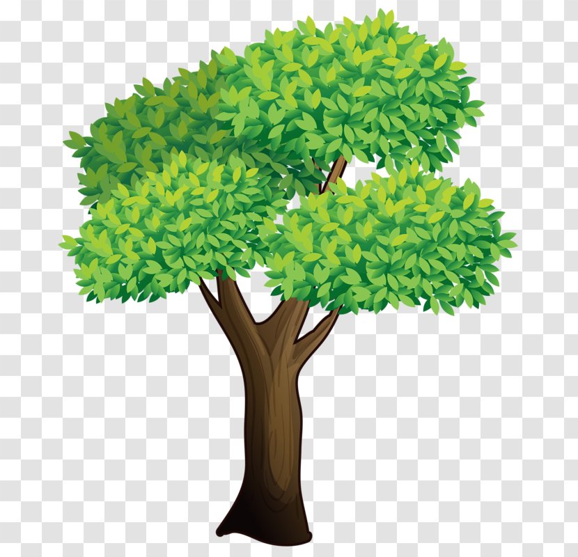 Tree Clip Art Vector Graphics Illustration Image Transparent PNG