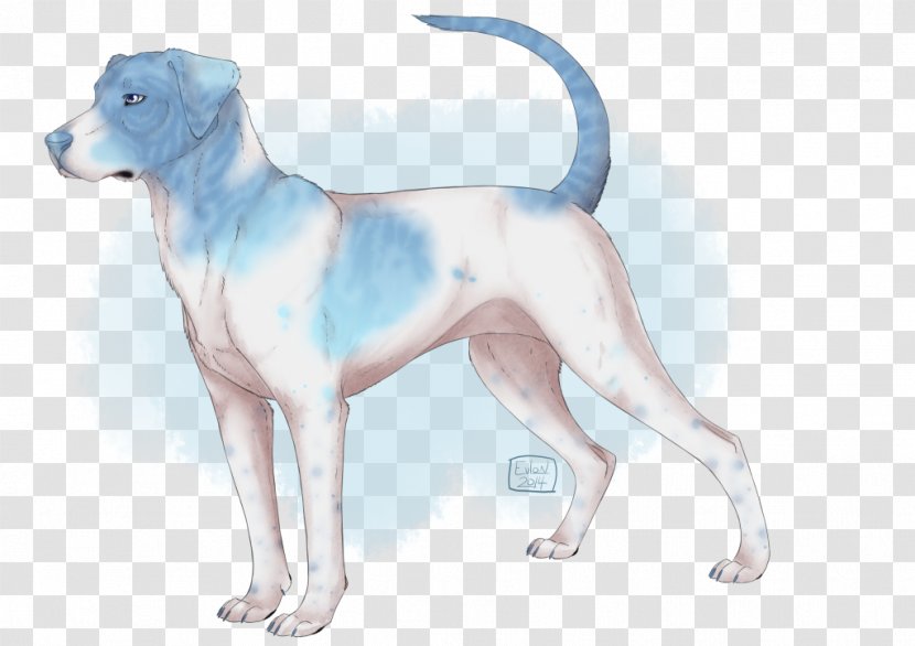 Dog Breed Puppy Sporting Group Companion - Tail Transparent PNG