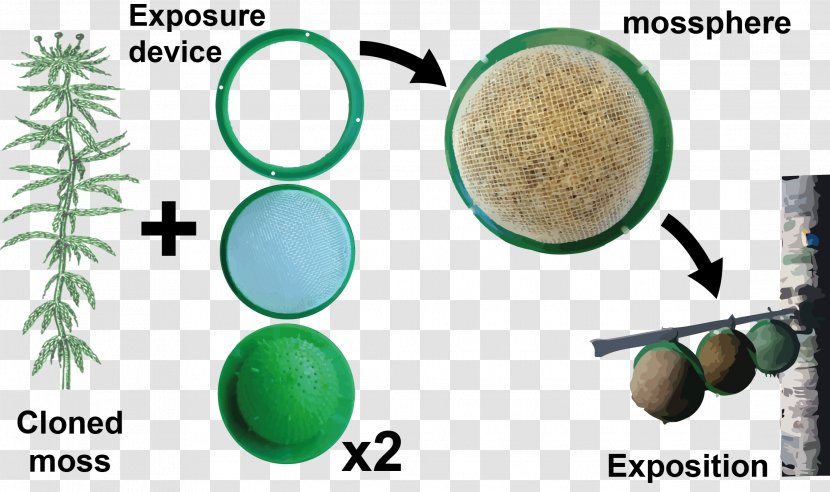 Mossclone Sphagnum Palustre Bioreactor Air Pollution - Peat Moss - Diagram Transparent PNG