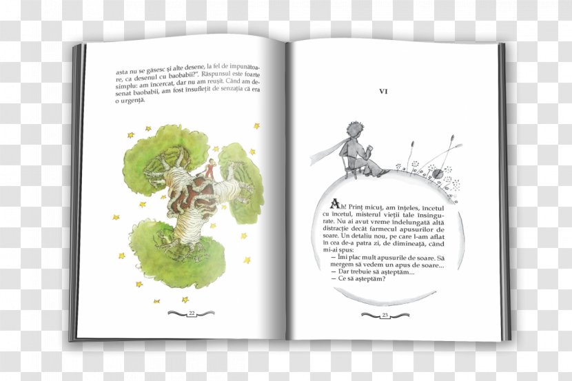 The Little Prince Book Baobab Children's Literature Os Baobás - Sunset Transparent PNG