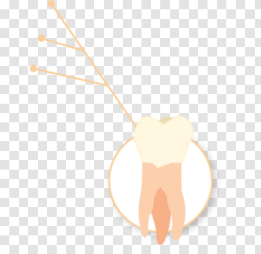 Tooth Thumb Jaw Clip Art - Flower - Design Transparent PNG