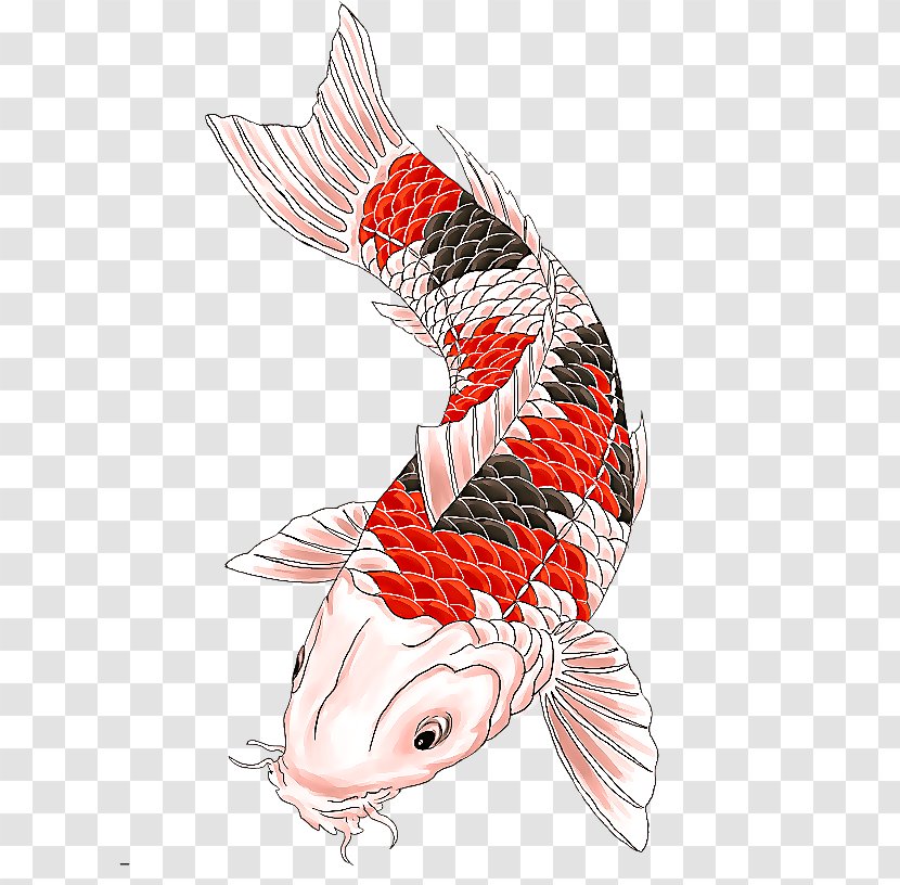 Koi Carp Fish Tail Transparent PNG
