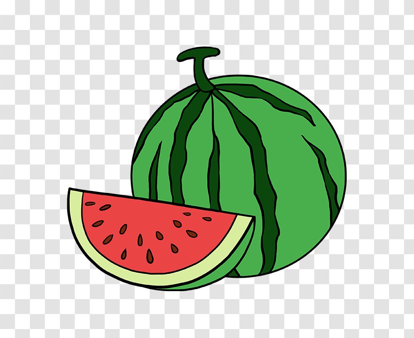 Basic Drawing Watermelon Image Tutorial - Dibujo Transparent PNG