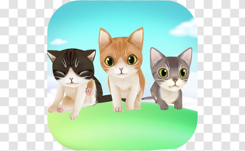 My Talking Kitten Cat Virtual Pet Shop - American Wirehair - Cute Animal Care Game TomKitten Transparent PNG