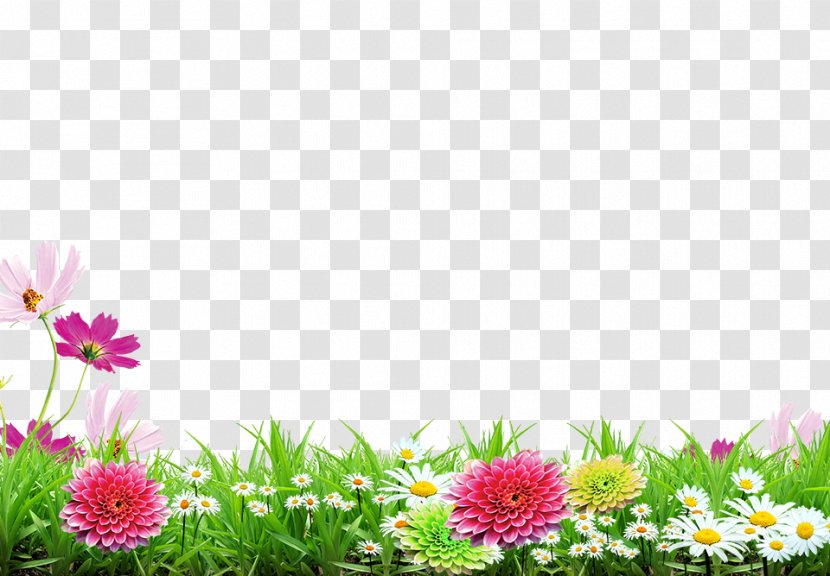 Poster - Flowering Plant - Spring Background Transparent PNG