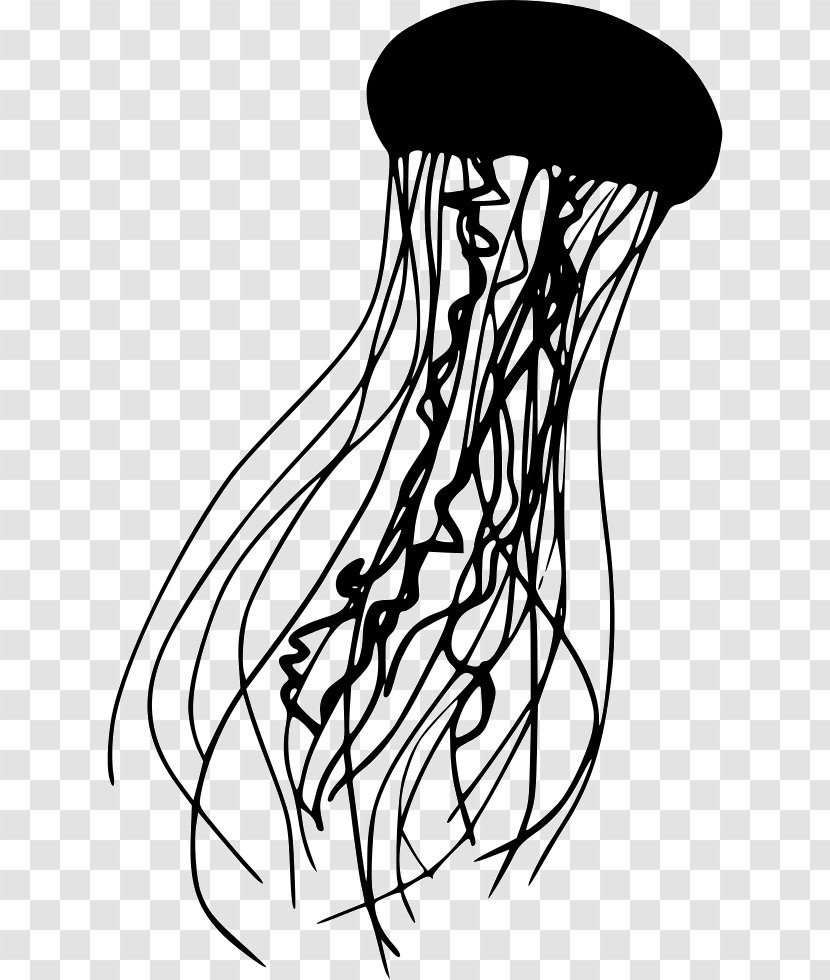 Jellyfish Clip Art - Plant - Princess Transparent PNG
