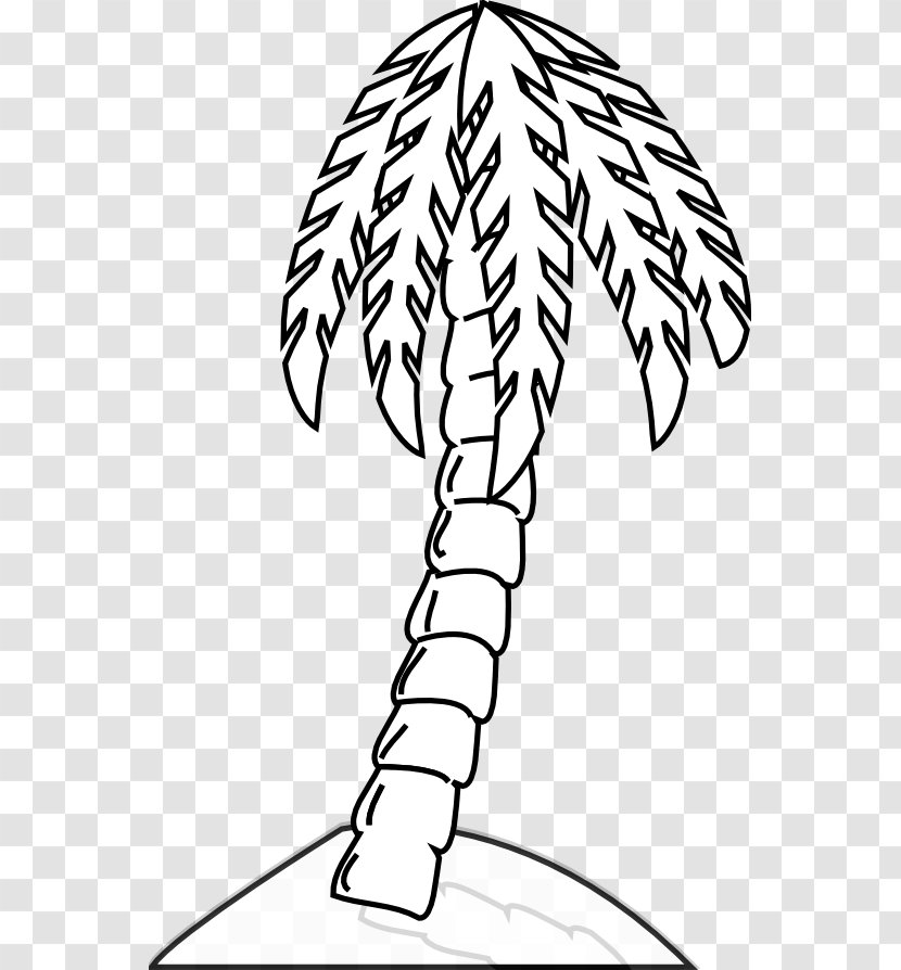 Arecaceae Tree Drawing Black And White Clip Art - Hand - Images Transparent PNG