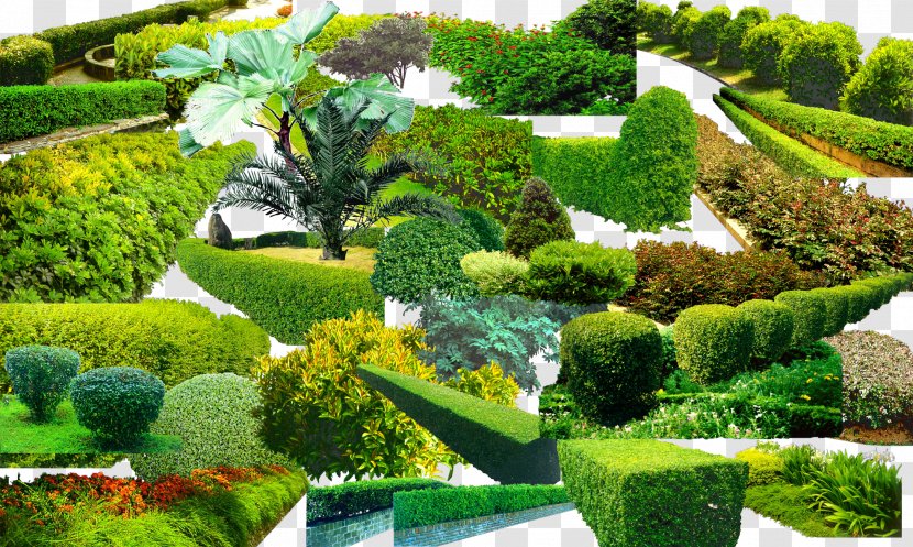 Landscape Greening Garden Vegetation - Green Grass Collection Transparent PNG