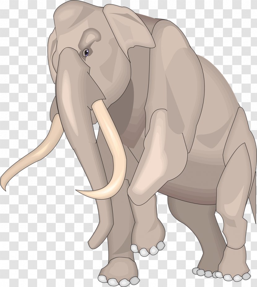 African Elephant Baby Indian Clip Art - Carnivoran - Elephany Transparent PNG