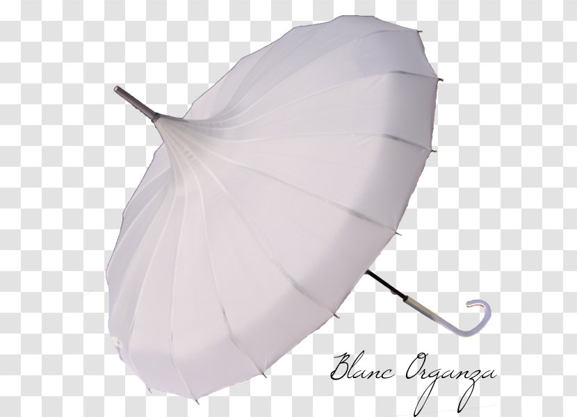 Umbrella Marriage Mariage Blanc Ombrelle White Transparent PNG
