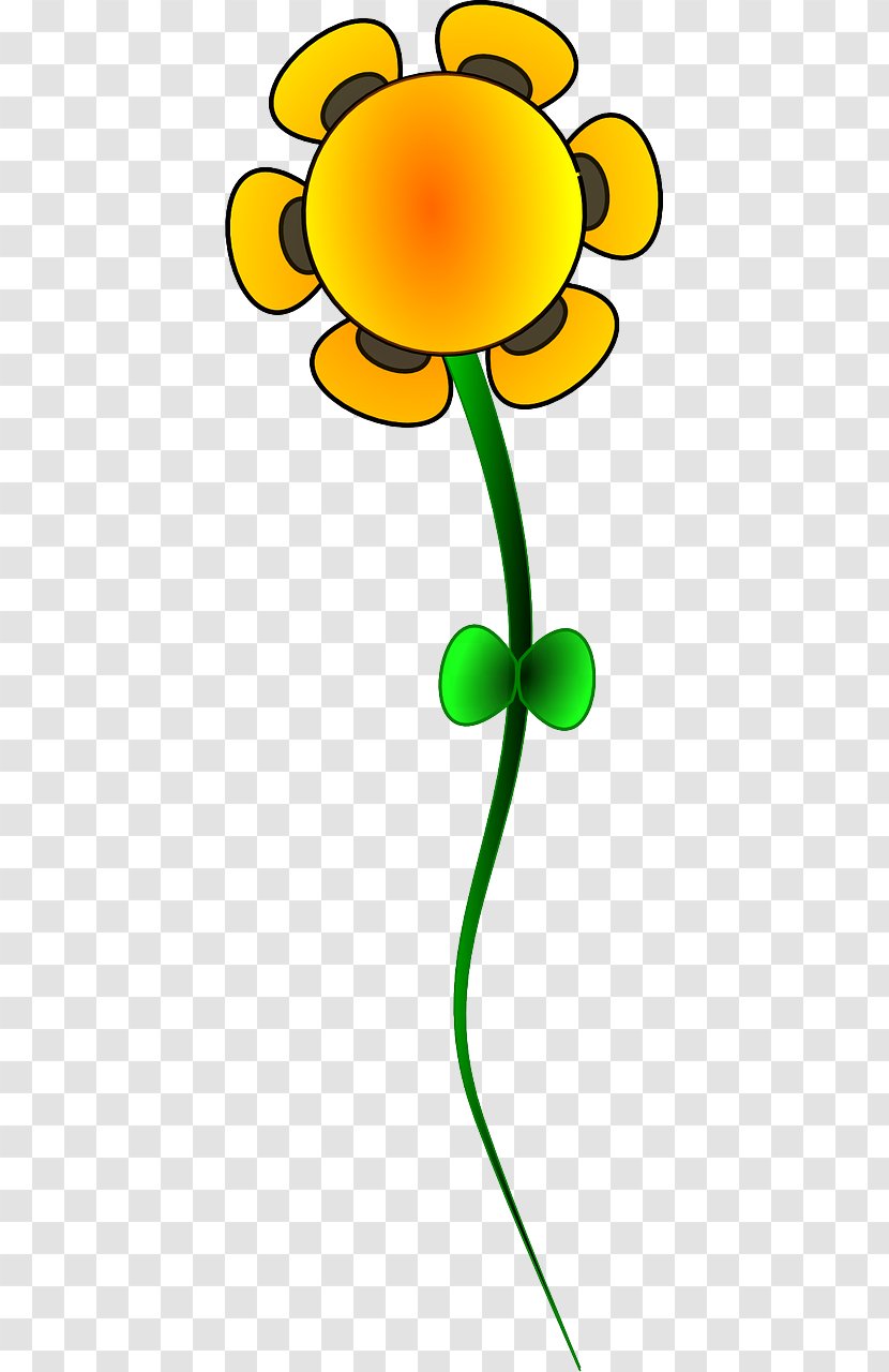 Flower Clip Art Drawing Floral Design Transparent PNG