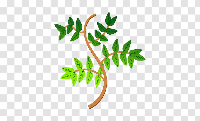 Leaf Plant Tree Bay Laurel Clip Art - Flora Transparent PNG