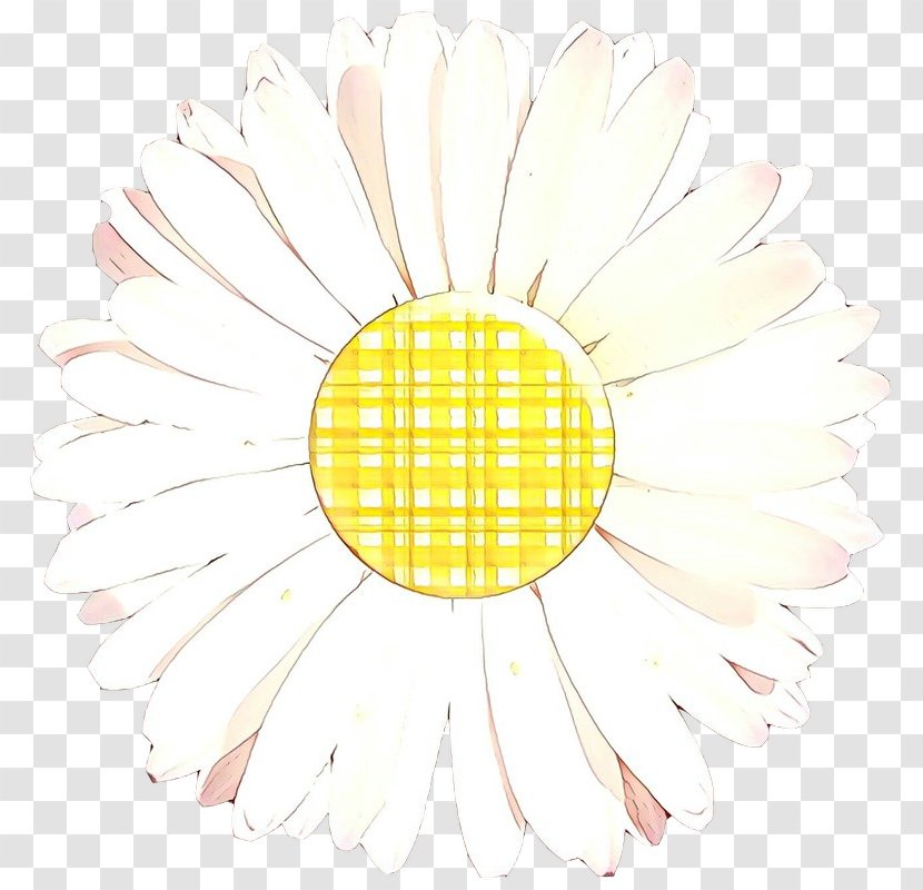 Daisy - Mayweed - Flower Plant Transparent PNG