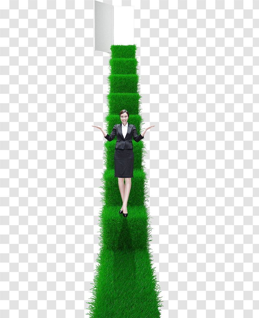Stairs Stair Carpet Ladder - Lawn - Green Transparent PNG