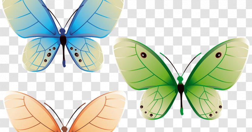 Butterfly Insect Clip Art - Organism Transparent PNG