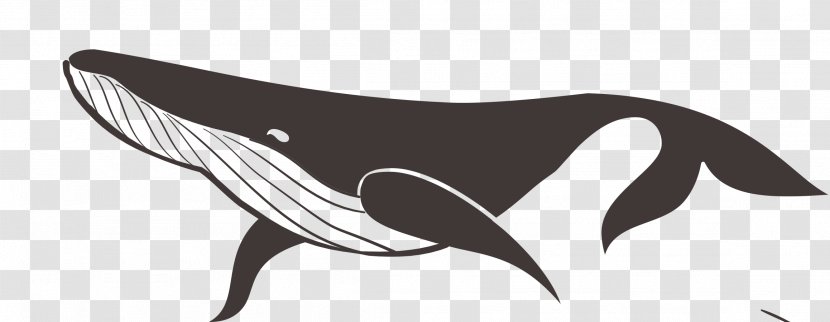 Drawing Vector Graphics Cetacea Illustration Clip Art - Jetski Transparent PNG