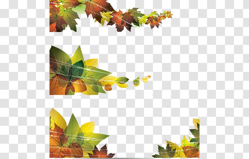 Banner Leaf Autumn Illustration - Tree - Leaves Transparent PNG