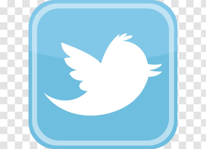 Logo - Beak - Transparent Twitter Transparent PNG