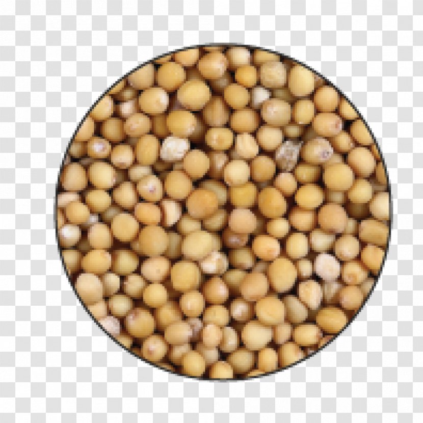 White Mustard Seed Brassica Juncea Spice - Food - Seeds Transparent PNG