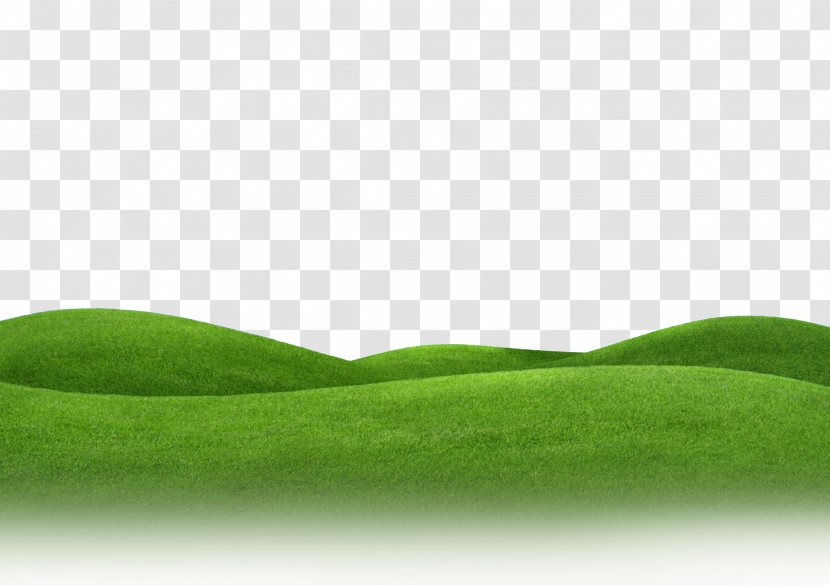 Lawn Meadow Grassland Landscape - Tree - Hill Transparent PNG