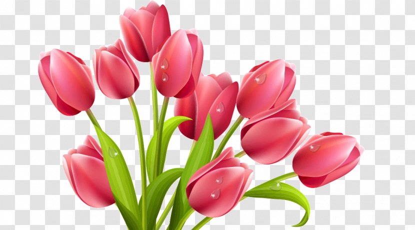 Tulip Flower Clip Art - Floristry Transparent PNG
