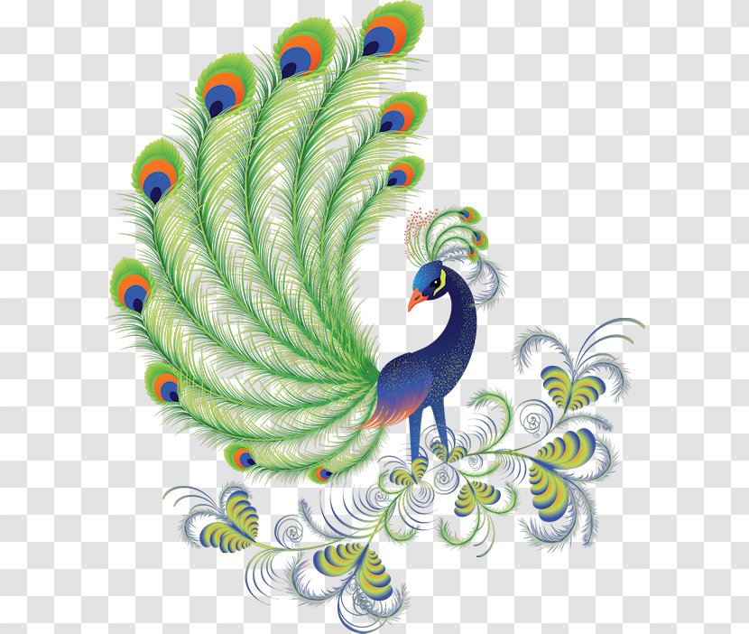 Bird Peafowl Clip Art - Organism Transparent PNG
