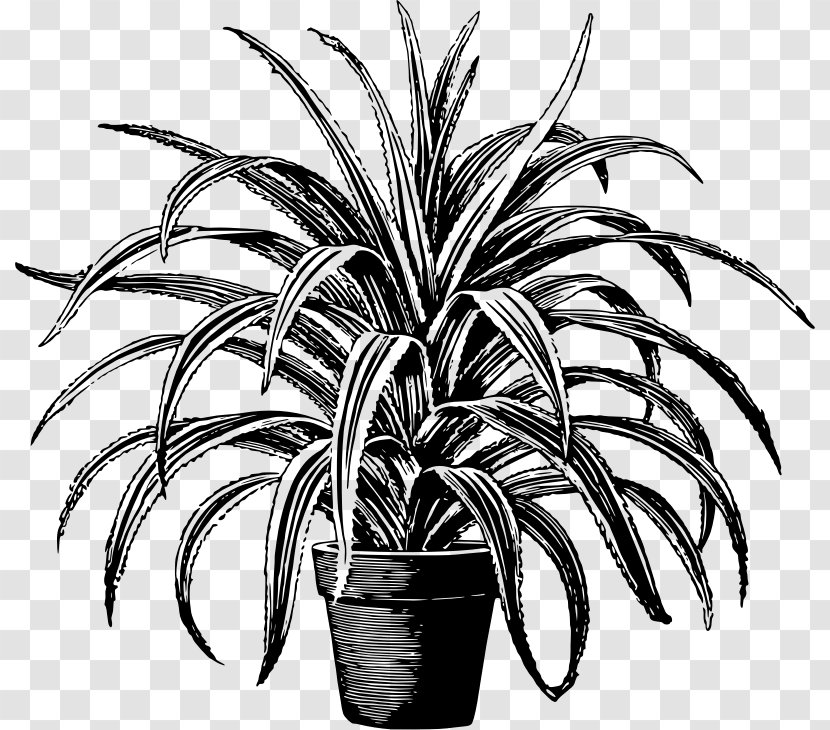T-shirt Houseplant Pyracantha Coccinea Flowerpot - Ornamental Plant - Potted Transparent PNG
