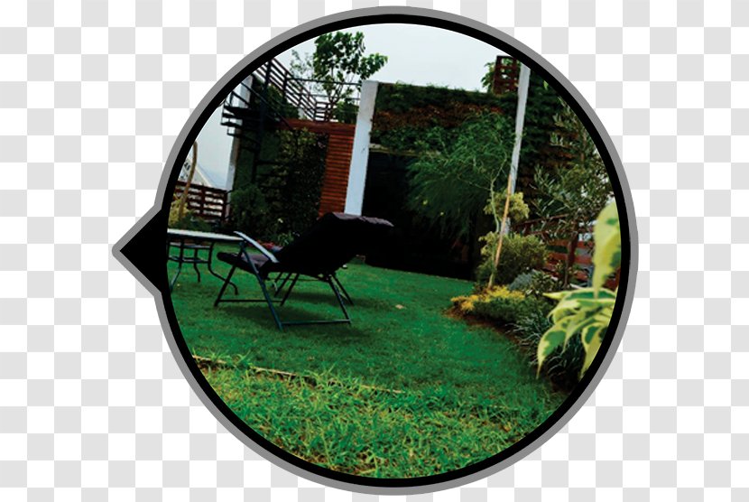 Green Roof Garden Wall Ceiling - Tree Transparent PNG
