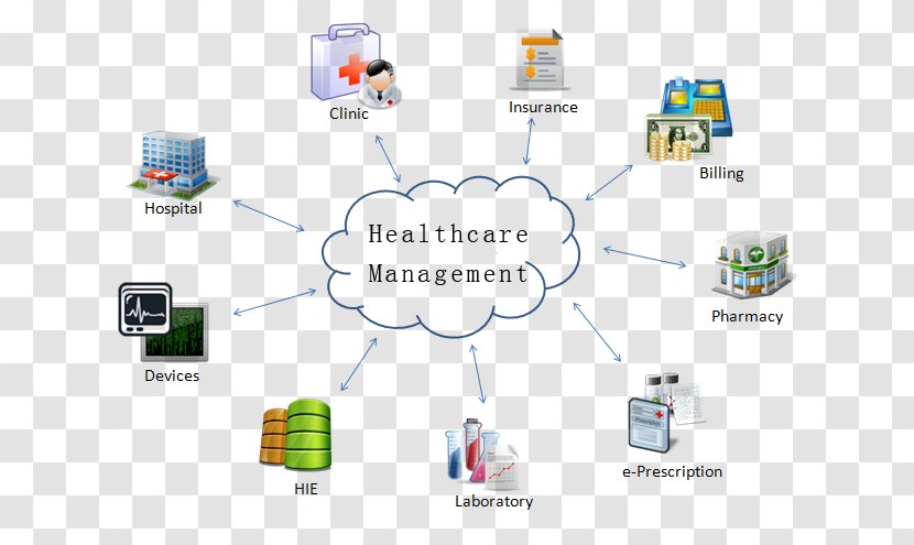 Health Administration Care Management System Hospital - Healthcare Transparent PNG